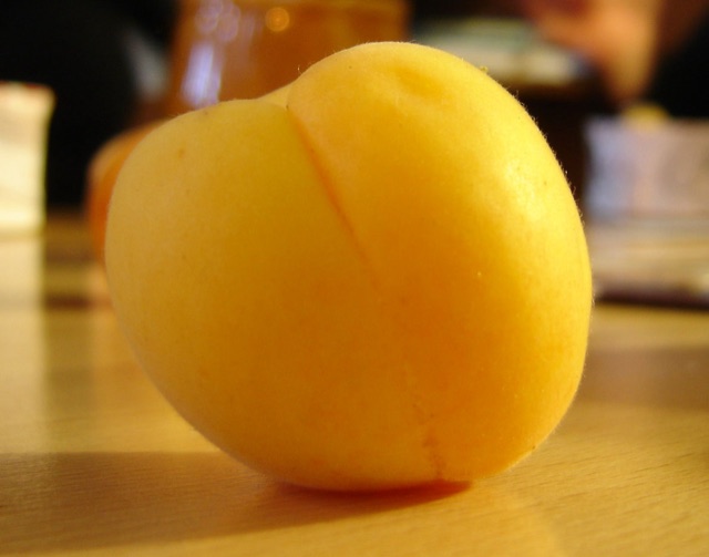 Ripe apricots, the fruit whose scientific name Prunus armeniaca means "Armenian plum"